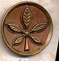 Antique Metal Button