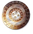 Antique Pearl Buttons