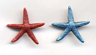 Starfish Button