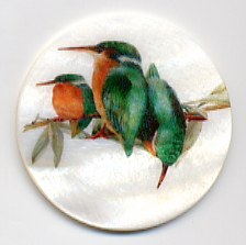 MOP - Hummingbirds