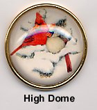 Winter Cardinals