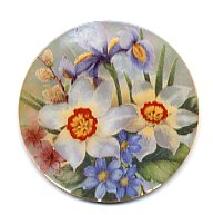 MOP - White Daffodils