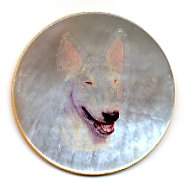MOP - English Bull Terrier