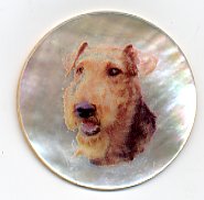 MOP - Airedale