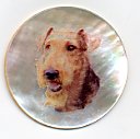 MOP - Airedale