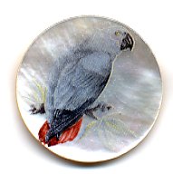 MOP - Parrot