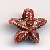 Starfish Sew Down