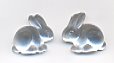 2 Bunny Buttons