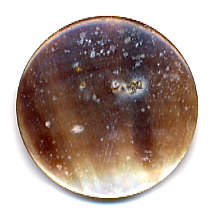 Antique Pearl Button