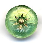 Lacy Glass Button