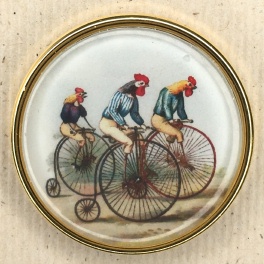 Bicycling Chickens
