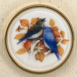 Bluebirds w/Autumn Leaves