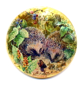 MOP - Hedgehogs