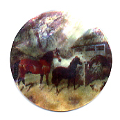 MOP - Horses at Barn