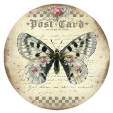 Butterfly Postcard