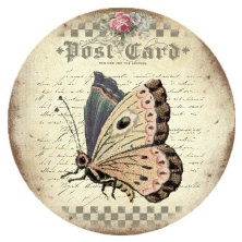 Butterfly Postcard