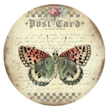 Butterfly Postcard