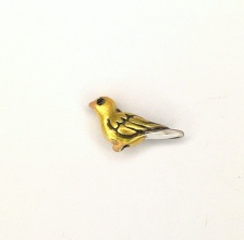 Yellow Finch