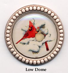 Winter Cardinals