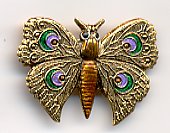 Moth Button - Brown