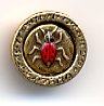 Beetle Button