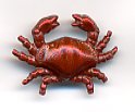 Small Crab Button