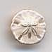 Sand Dollar Charm