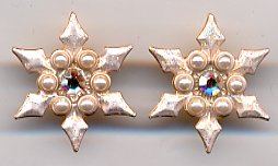 Earrings - Snowflake