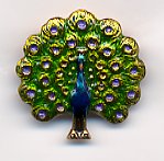 Pin - Peacock