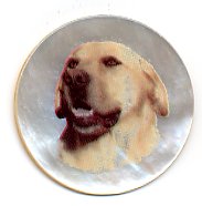 MOP - Yellow Lab