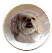 MOP - Lhasa Apso