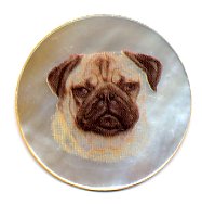MOP - Pug