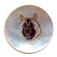 MOP - Akita