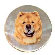 MOP - Chow