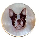 MOP - Boston Terrier