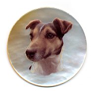 MOP - Jack Russel #1