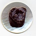 MOP - Black Pug