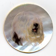 MOP - Old English Sheep Dog