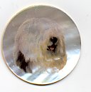 MOP - Old English Sheep Dog