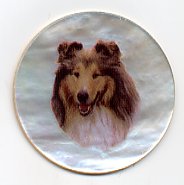 MOP - Rough Collie