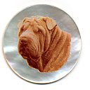 MOP - Shar Pei