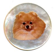 MOP - Pomeranian