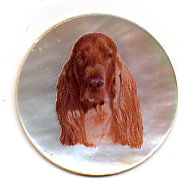 MOP - Irish Setter