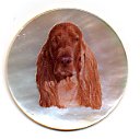 MOP - Irish Setter