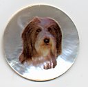 MOP - Bearded Collie