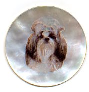 MOP - Shih Tzu