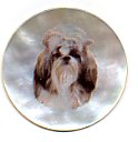 MOP - Shih Tzu