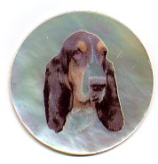 MOP - Basset Hound