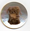 MOP - Doberman