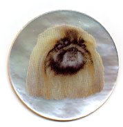 MOP - Pekingese